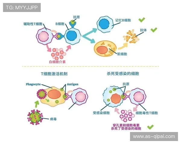 全面解析TBET：其在免疫调节与疾病中的关键作用